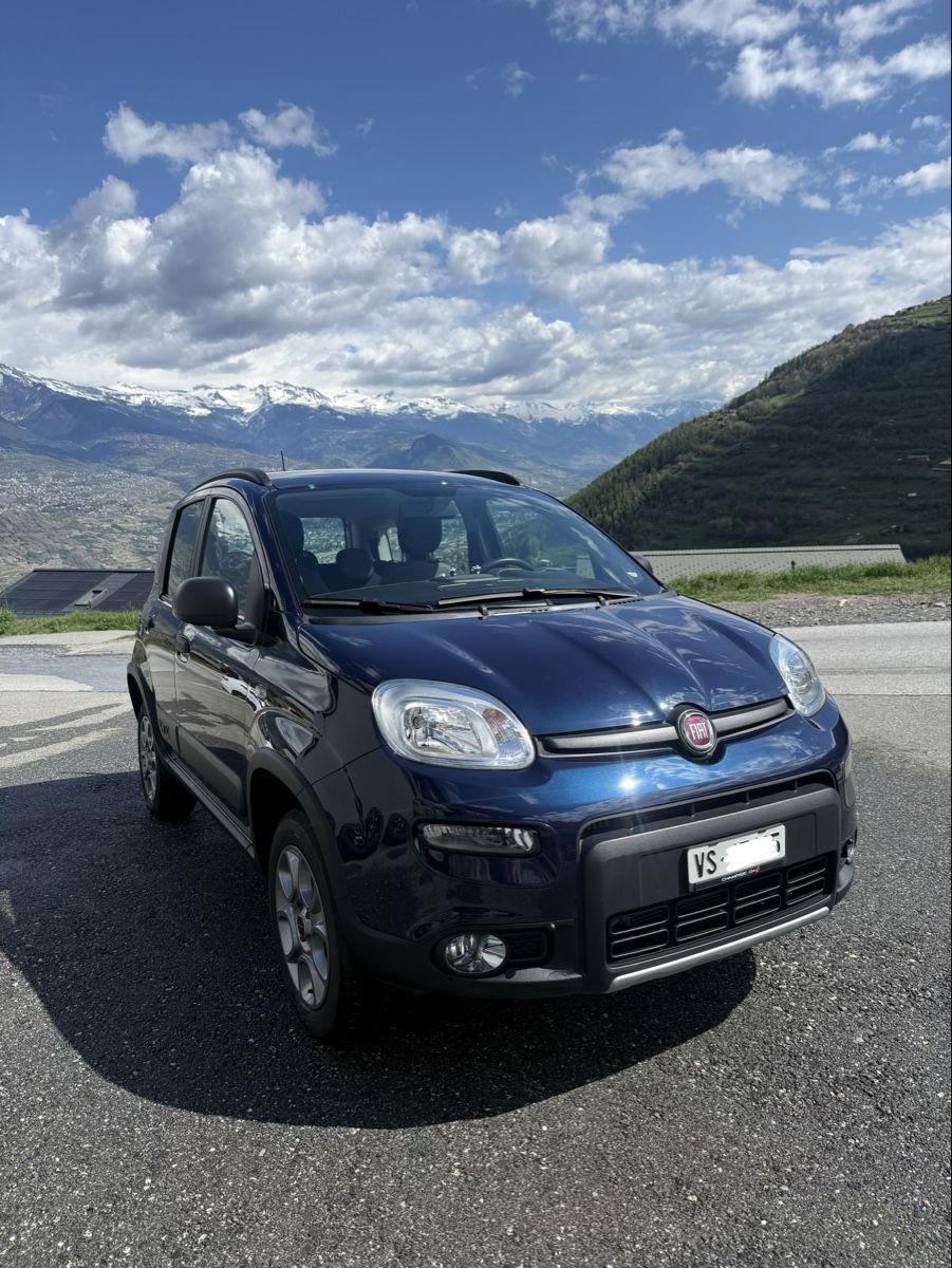 Fiat Automobili: Fiat Panda 4x4 Wild essence – Usato da Basse-Nendaz venduto da frimousse75