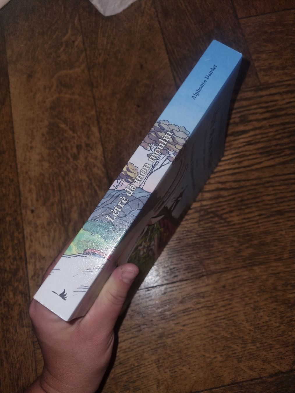 Bücher: Lètrè dè mon Moulin d'Alphonse Daudet – Gebraucht aus Fribourg von sal_5ln6 2