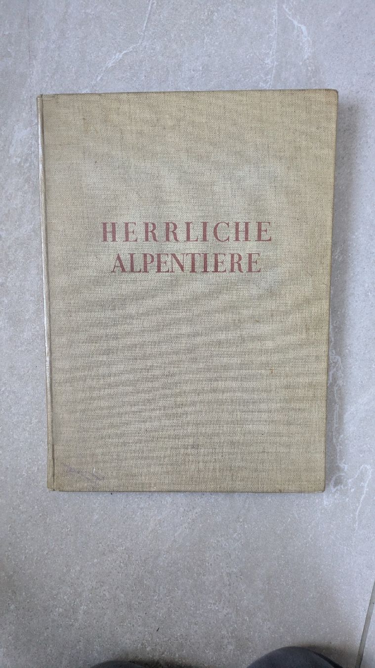 Libri: altes Buch "Herrliche Alpentiere", 1939 – Usato da Rottenschwil venduto da chnoblipress