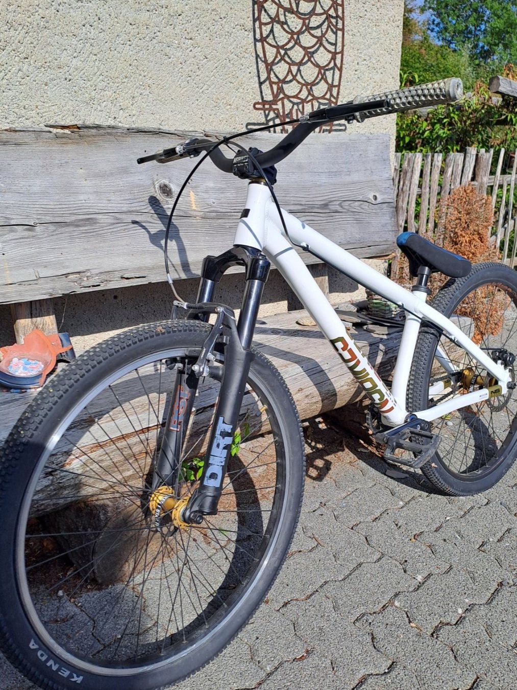 Biciclette: NS Bike Movement 3 white – Usato da Wald ZH venduto da Bagira1 1