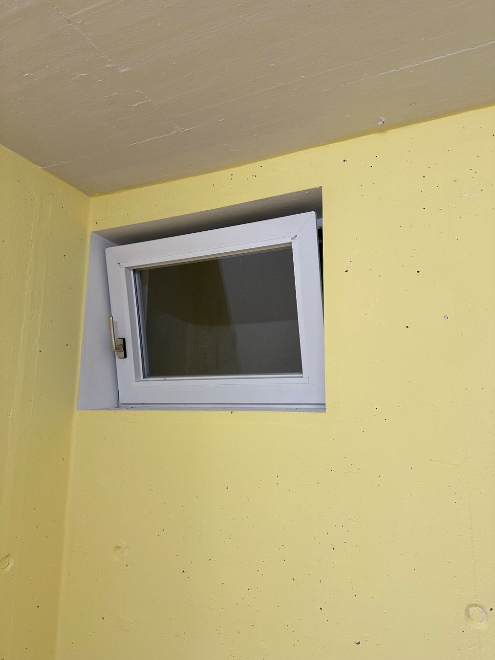Colori: Wandfarbe Hellgelb 2.5 l – Nuovo e nell'imballaggio originale da Stallikon venduto da zso_26n7 2