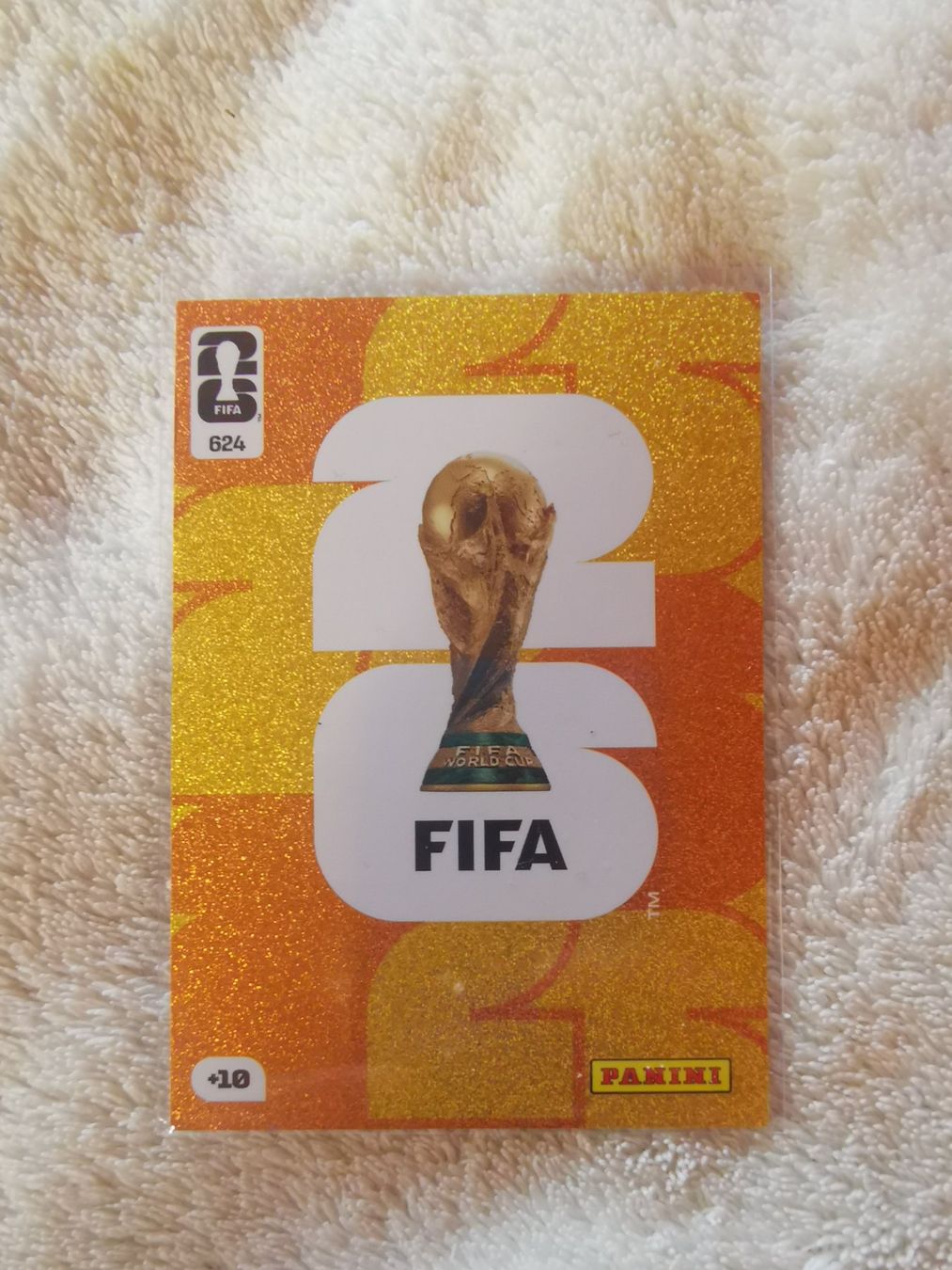 Panini Carte collezionabili: FIFA WORLD CUP2026 SAMMELBILD – Usato da Altnau venduto da playboy