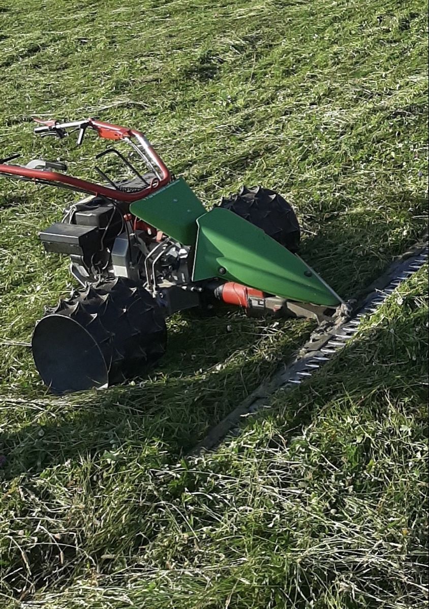 Rapid Tutte le macchine: Rapid Swiss Motormäher – Usato da Castiel venduto da FDEUTZS 1