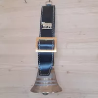 Kleine Glocke an Zierriemen ab 2Fr!