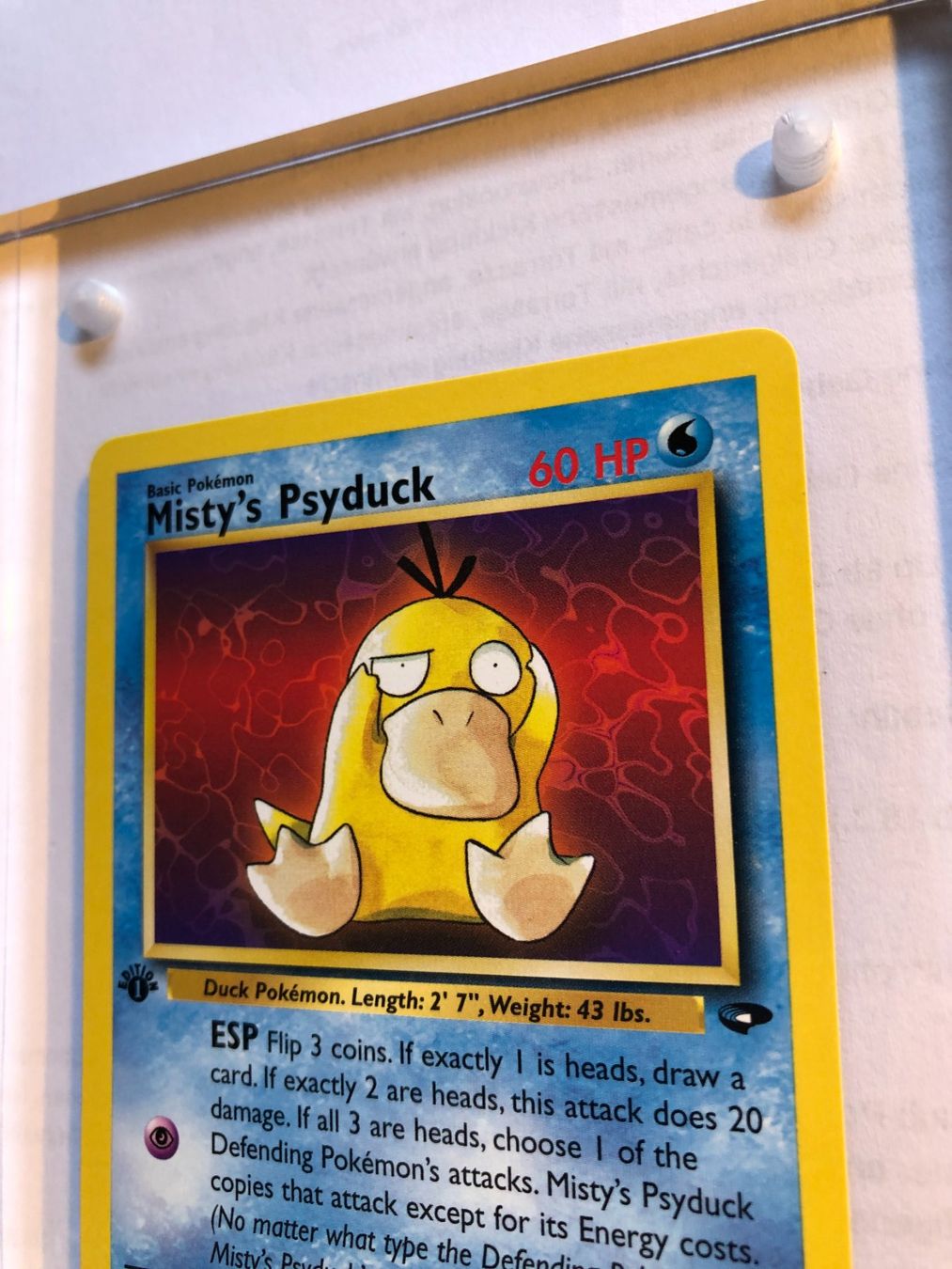 Carte collezionabili: Misty's Psyduck 1st Gym Challenge - MINT - ab 1.- – Usato da Giubiasco venduto da dan_pr8b 3