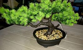 NEUER Deko Bonsai H:20 cm, L: 40 cm Kunstpflanze Zen im Topf