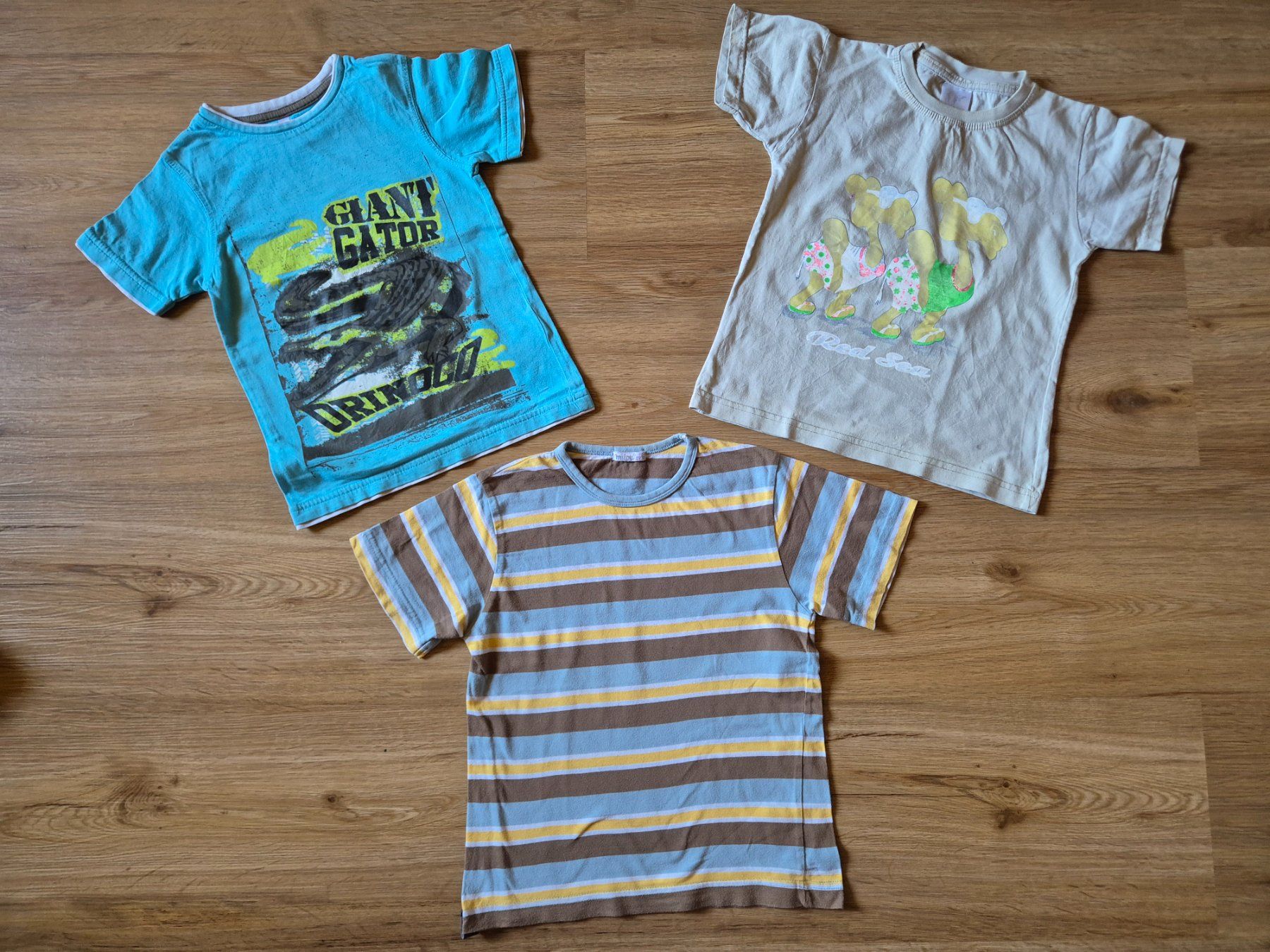 Lotti & Set di vestiti: Kleiderset Sommer Gr. 110 ab CHF 1.- – Usato da Giswil venduto da 0G6 5