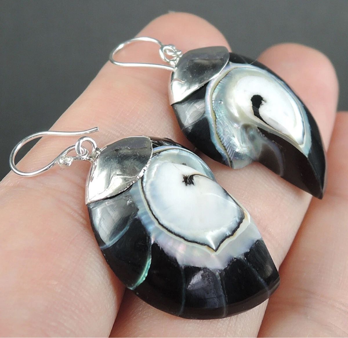Orecchini pendenti & Orecchini a lobo: Wunderschöne dunkle Nautilus Ohrringe 925 Silber NEU – Nuovo e nell'imballaggio originale da Basel venduto da Chili007 2
