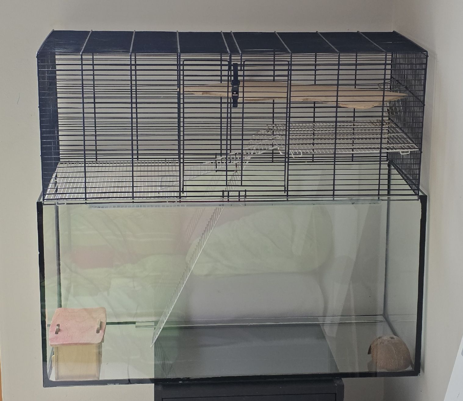 Gabbie, trasporto & Sicurezza: Nagetier,Mäuse, Hamster Käfig – Usato da Boll venduto da Julia41
