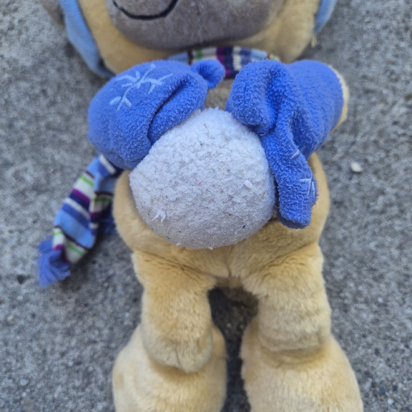 Giocattoli: Peluche ours Pimboli / diddl – Usato da Versoix venduto da Lenas9 3