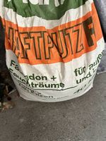 Haftputz
