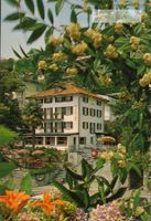 AK 1982 Hotel Mirafiori, Locarno Orselina