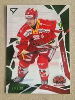 Sportzoo Base Green  Hass  Bienne   28/30