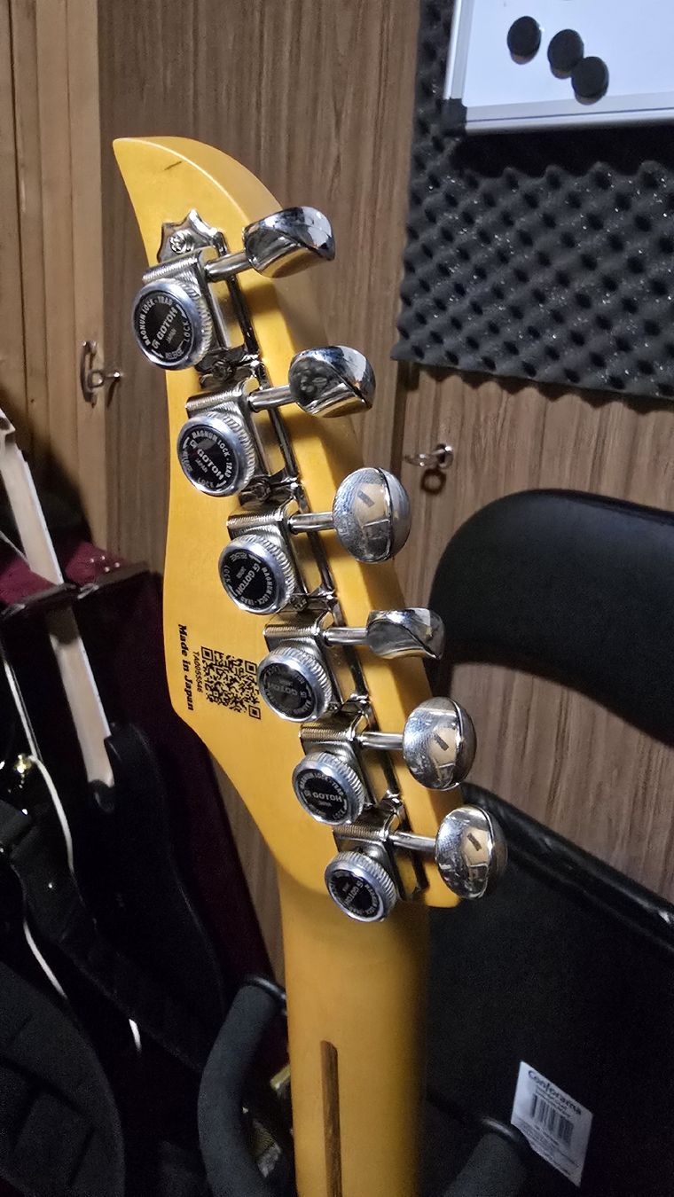 Strumenti musicali: Vola Vasti MC – Nuovo (secondo la descrizione) da Biel/Bienne venduto da StarkyGuitarTv 3