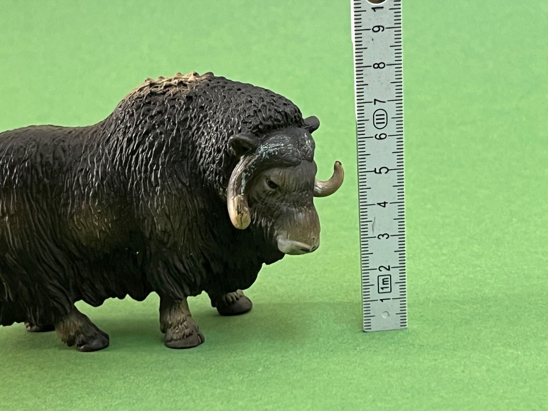 Schleich Statuette: Schleich - Moschusochse 14332 Ochse – Usato da Ennetbaden venduto da mapa05 1