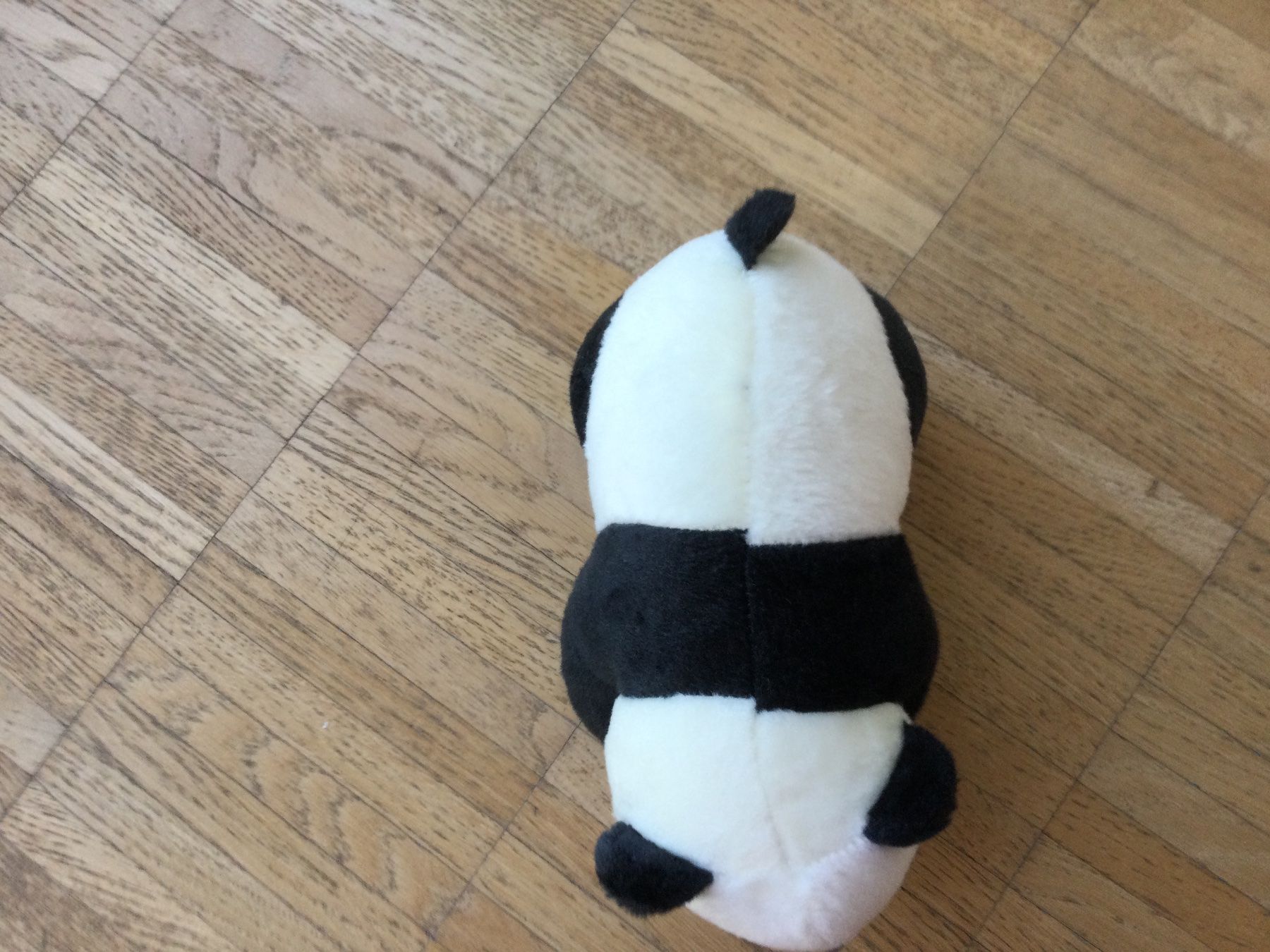 Giocattoli: Plüschtier Panda Bär – Usato da Zürich venduto da ShadowVorlon 2