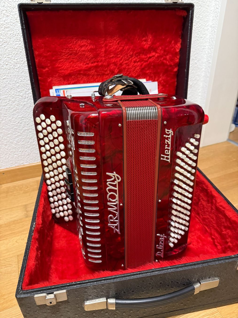Instruments de musique: Akkordeon Herzig D. Graf – D'occasion à Walkringen par Chester007 1