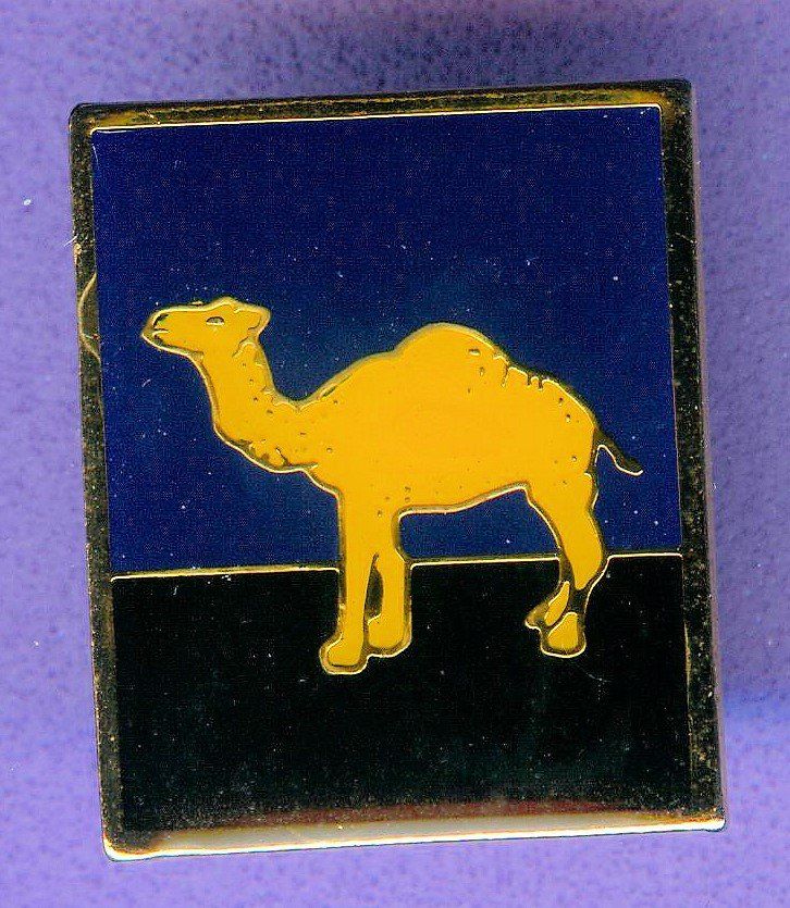Camel Plaketten & Abzeichen: CAMEL   – Gebraucht aus Winterthur von Sammleroase
