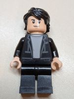 Lego Super Heroes Minifigure sh0408 Bruce Banner [gebraucht]