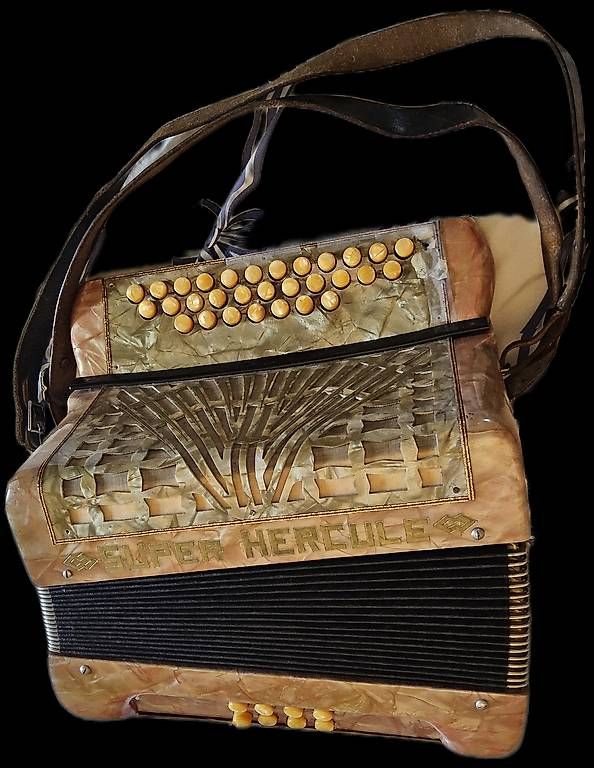Musikinstrumente: Accordéon – Gebraucht aus Genève von swissaddress 1