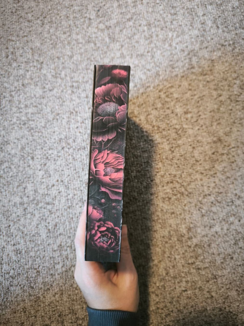 Bücher: Nightwood Academy - Amber Auburn – Neu (gemäss Beschreibung) aus Sargans von .isa_