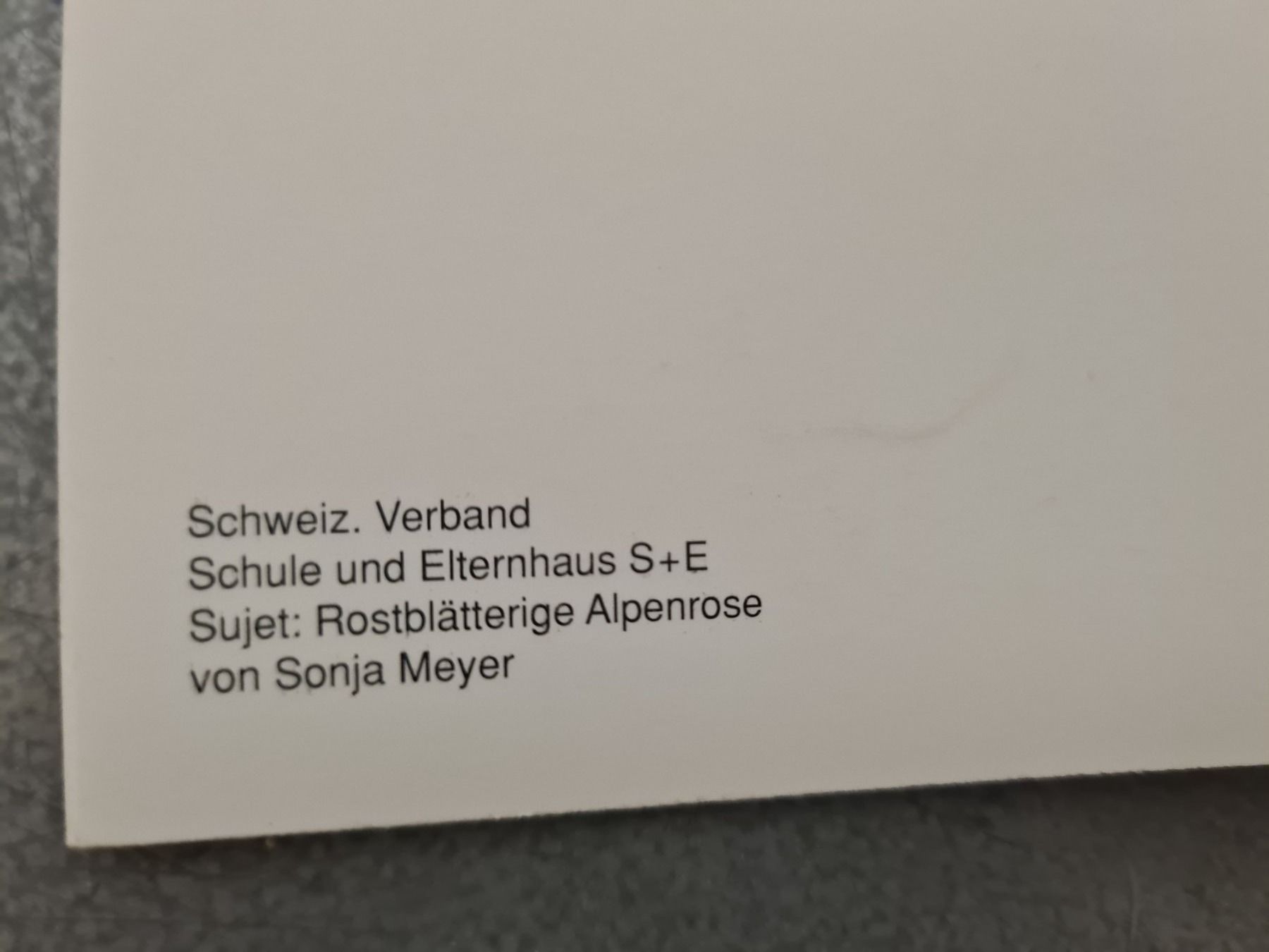Cartoline: Alte Doppel Grusskarten ca. 14.5x10 cm – Nuovo (secondo la descrizione) da Amriswil venduto da used2use 2