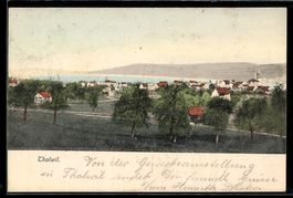 AK Thalwil, Panorama