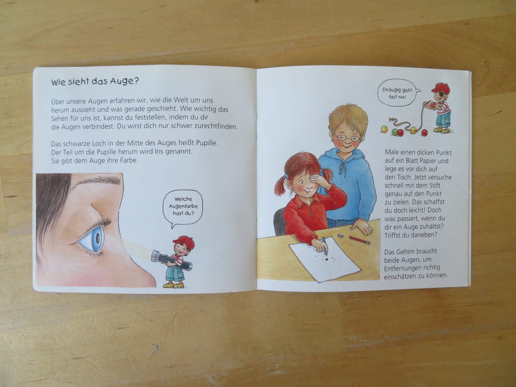 Libri: WIESO? WESHALB? WARUM? Minis – Usato da Zürich venduto da piroma 4