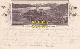 Halbinsel Au am Zürichsee (braune Strichlitho) /as