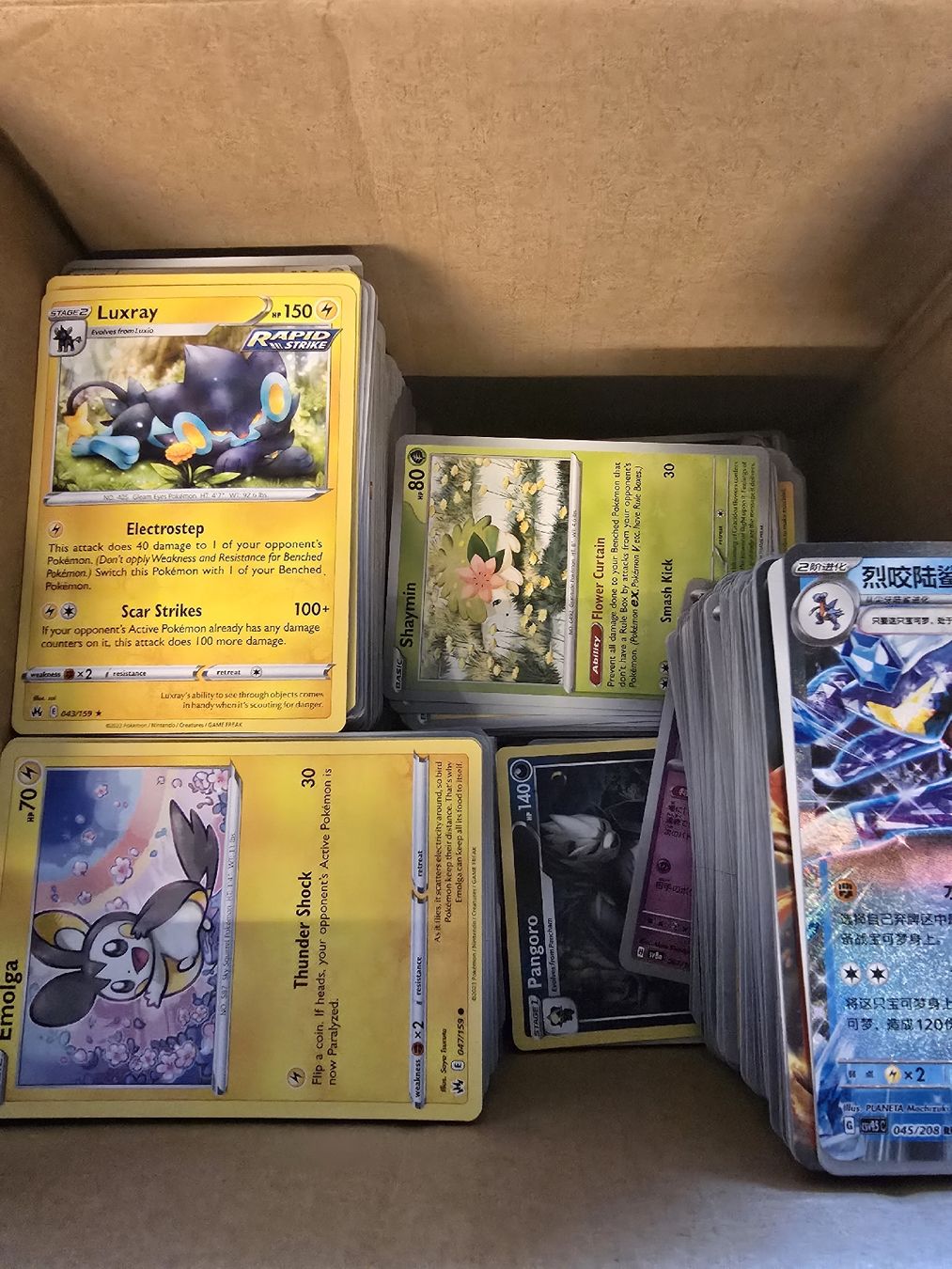 Pokémon Carte collezionabili: Bulk pokemon EN – Nuovo (secondo la descrizione) da Olten venduto da Pokemon2all 1