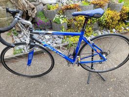 Rennvelo GIANT TCR mit Campagnolo Schaltung