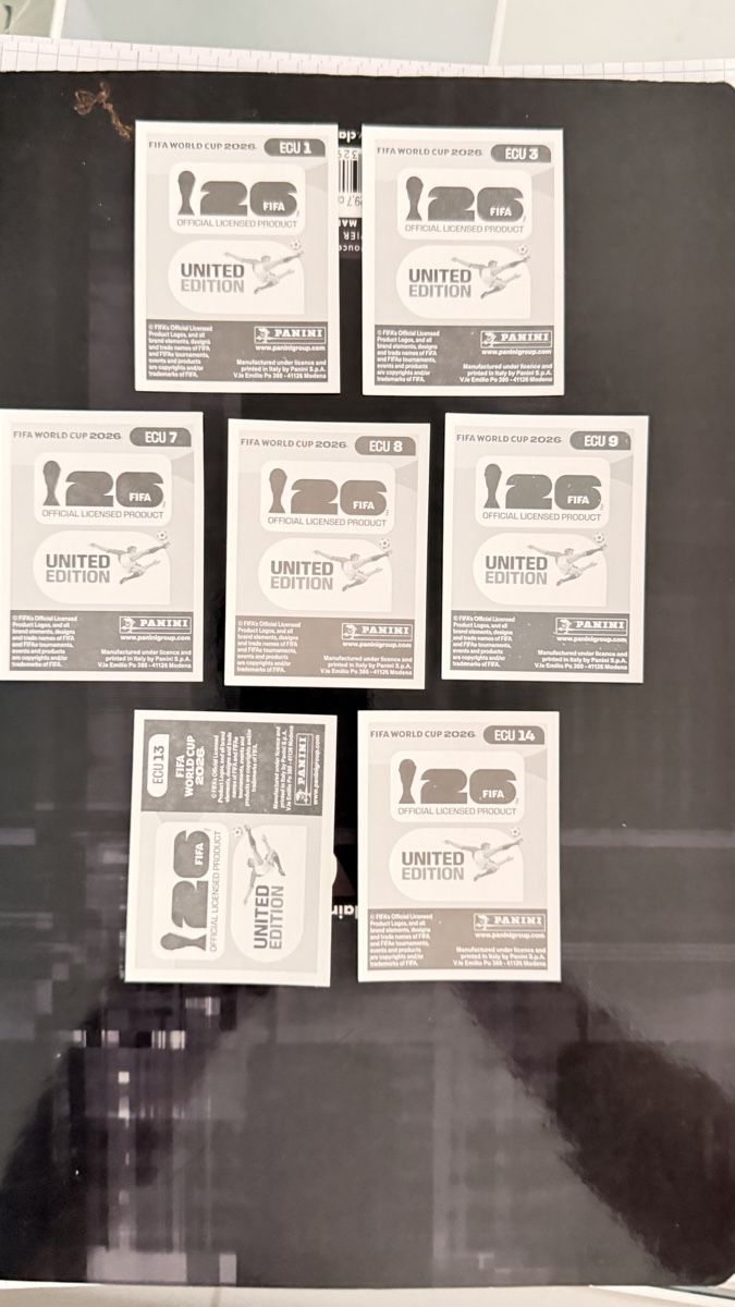 Panini Carte collezionabili: Panini ECU  – Usato da Oberhasli venduto da Alanickal