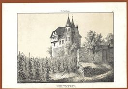 Weinstein Rheintal von Wagner 1840