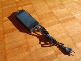 Ladegerät LiFePo 36V (Etwow)