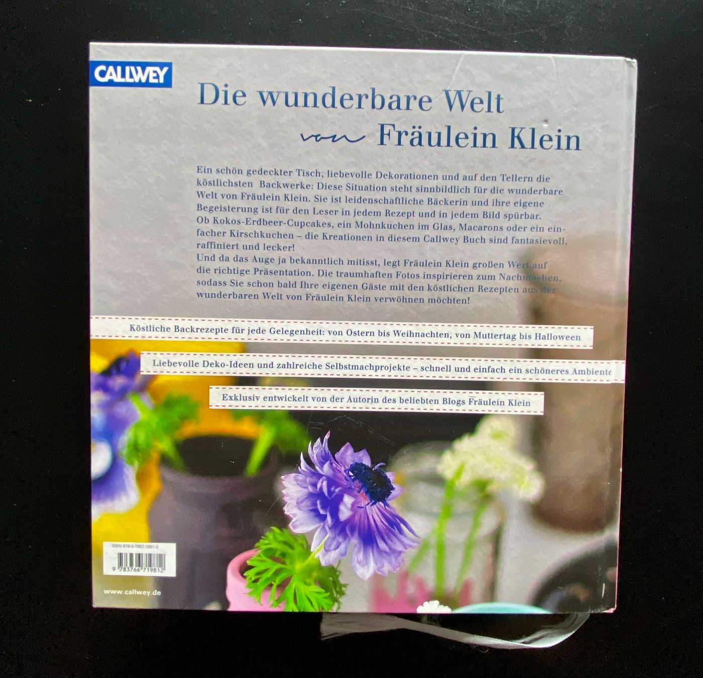 Libri: Die wunderbare Welt von Fräulein Klein – Usato da Nussbaumen AG venduto da schuba2000 1