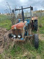 Oldtimer Traktor  1964
