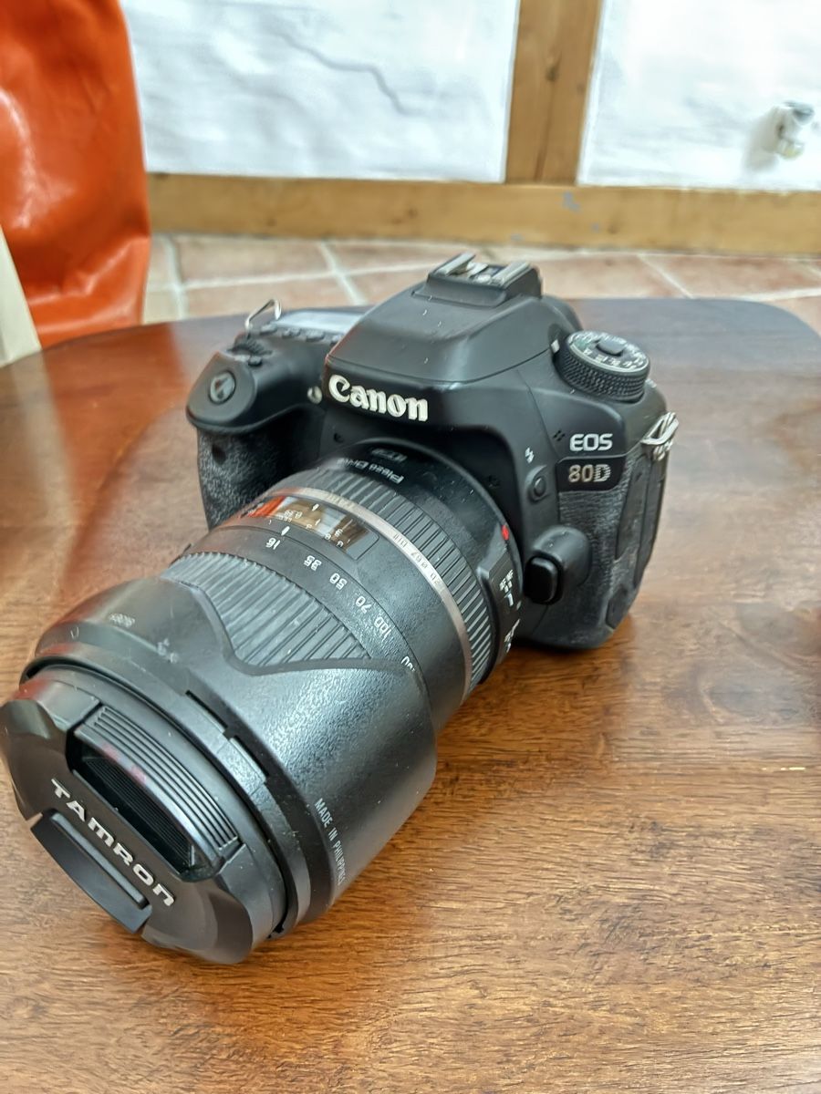 Canon Fotocamera: Canon 80D, Tamron 16-300 – Usato da Weiach venduto da gabs_cdn