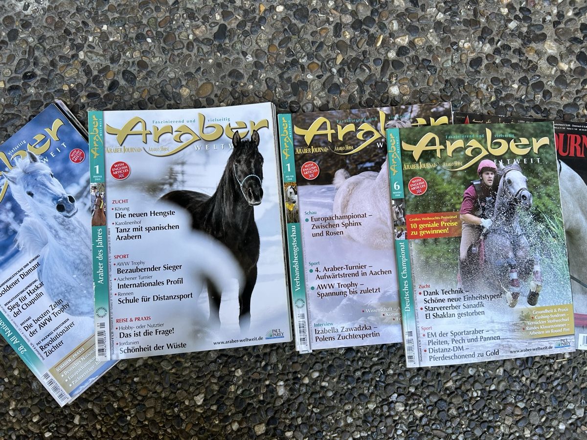 Riviste & Magazine: Araber Pferde Zeitschrift Sammlung – Usato da Rickenbach ZH venduto da nathifa 3