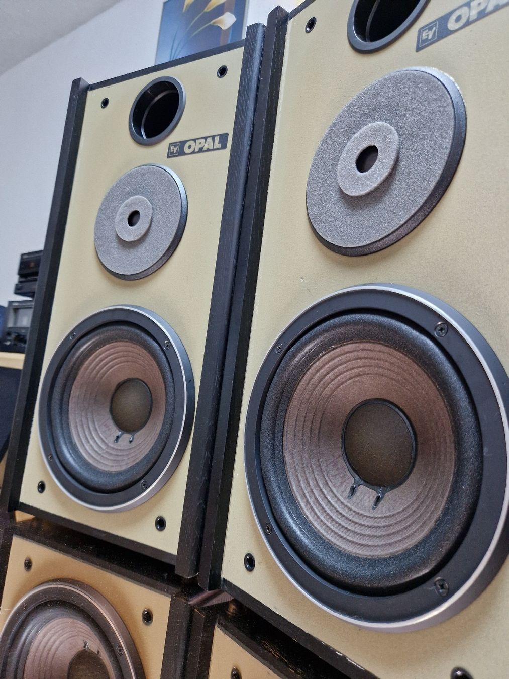 Electro-voice Lautsprecher: Elektro Voice Opal  – Gebraucht aus Arbon von Mayak_Sound 6
