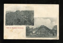 Hergiswyl, Seeblenalp,  Hergiswil