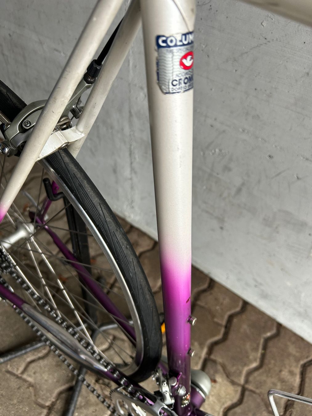 Biciclette: Diana Rennvelo – Usato da Adlikon b.Regensdf venduto da usado 2