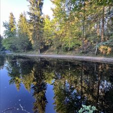 Profile image of WaldburM