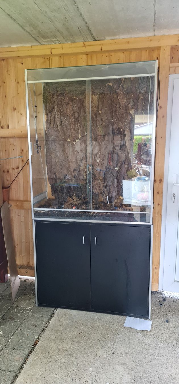 Terrario: Terrarium – Usato da Sulgen venduto da swe_r55v