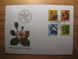 Pro Juventute 1973 FDC