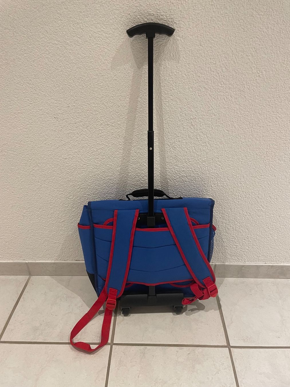 Borse & Zaini: Rucksack, Rollkoffer Paddington – Usato da Seengen venduto da swossi 1