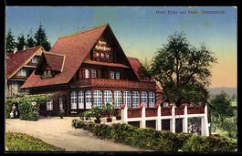 AK Immensee, Hotel Eiche und Post