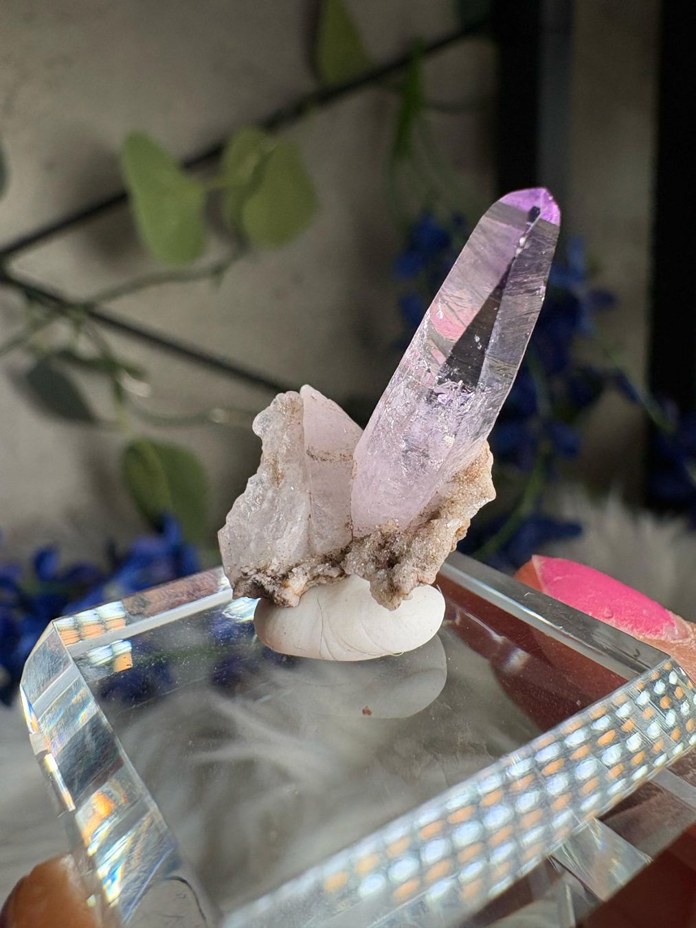 Pietre preziose: Veracruz Amethyst – Nuovo (secondo la descrizione) da Neuheim venduto da m.hald 1