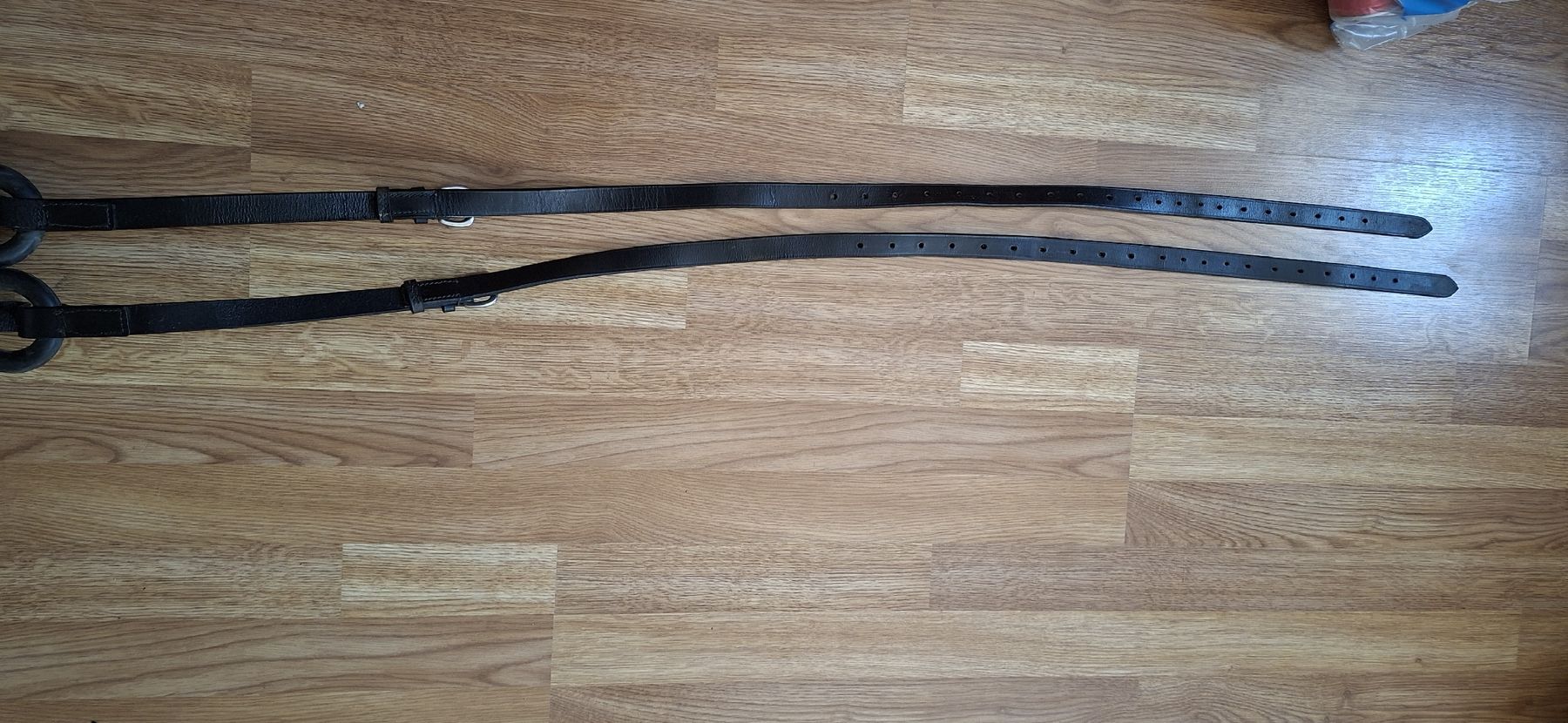 Briglie & Cavezze: Ausbindezügel leder – Usato da Ricken SG venduto da Oesti.ha 4