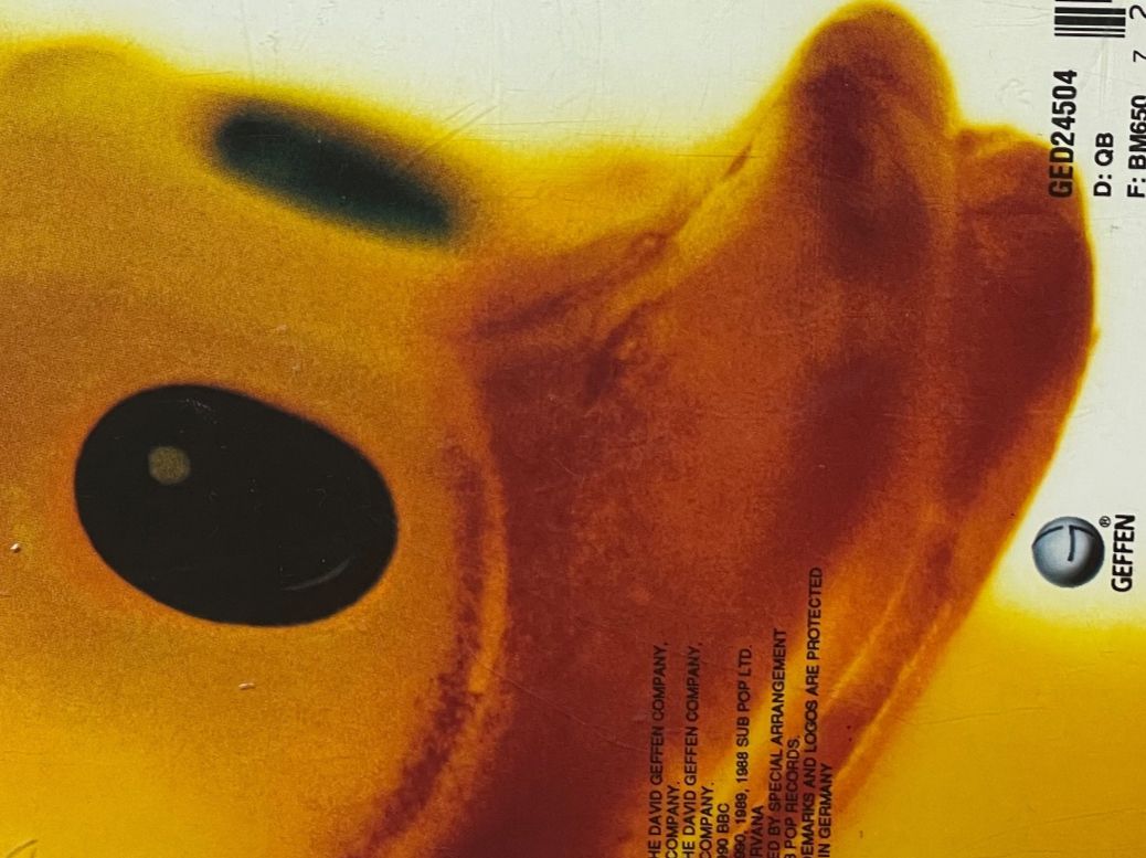 CDs: Nirvana-Incesticide – Gebraucht aus Muri b. Bern von AdidasCollector 6