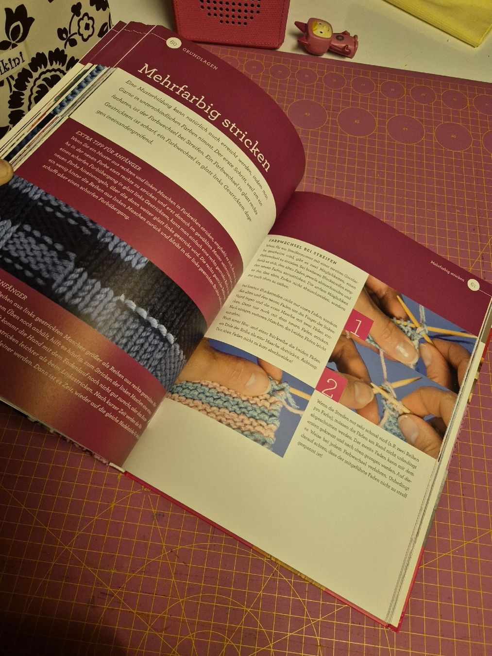 Libri: Strickkurs Buch Handarbeiten – Usato da Wynigen venduto da La_Talpa 4